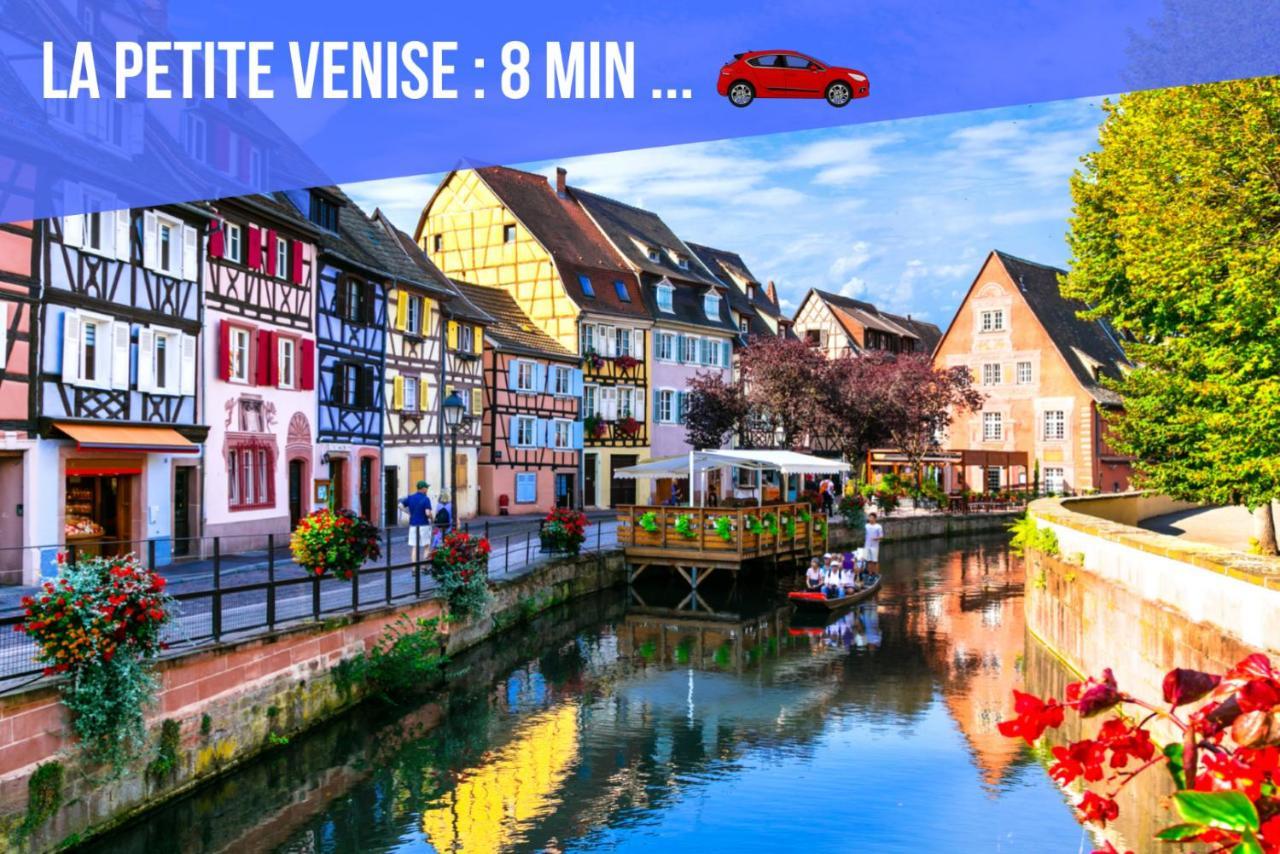 Le Blue St Leon : 2 Pieces Cozy Lit King Size Wifi Apartment Colmar Exterior photo